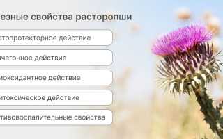 Чем полезна расторопша?