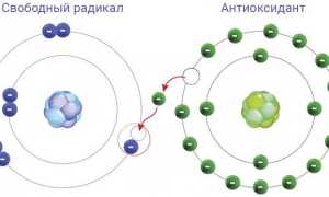 Что такое свободные радикалы?